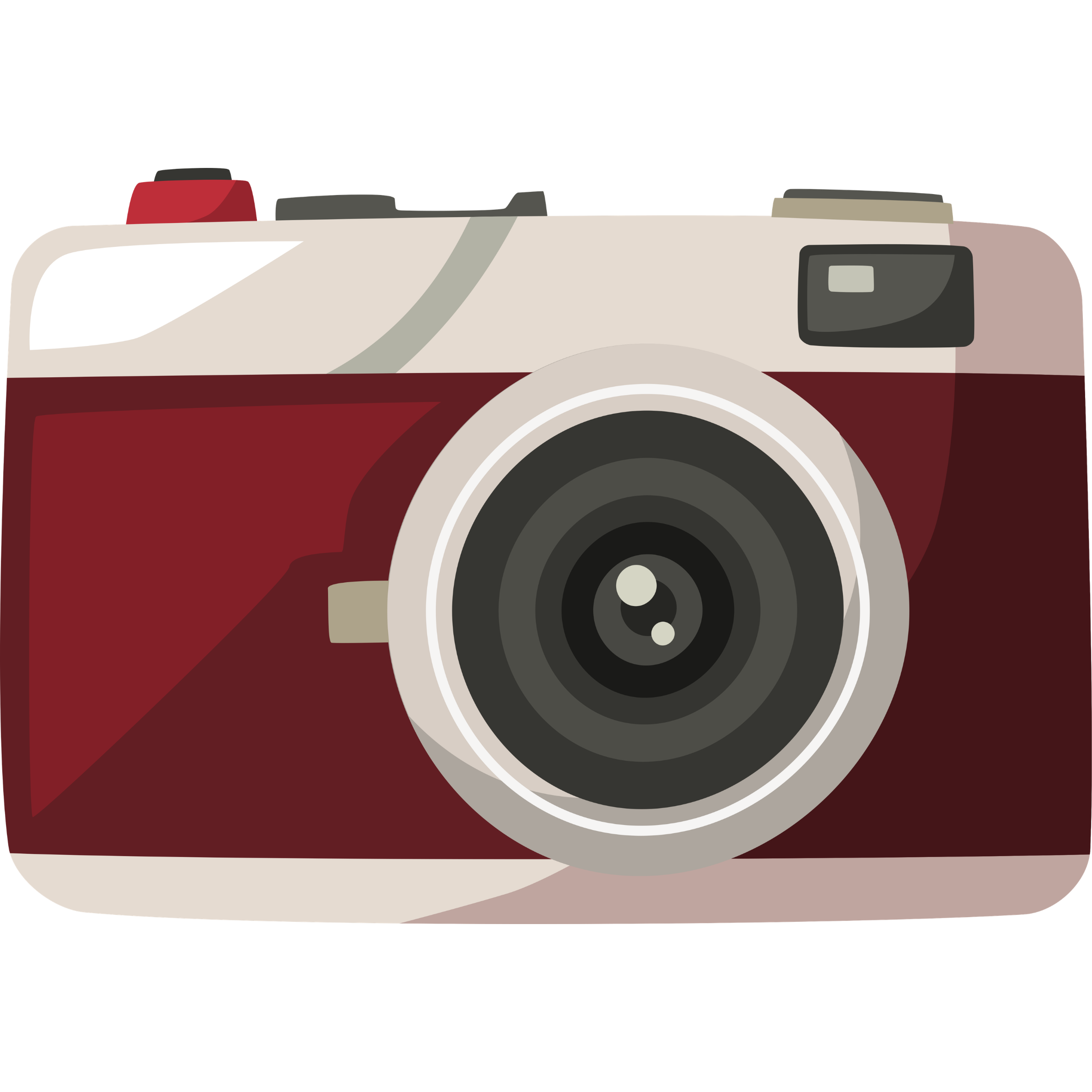 camera