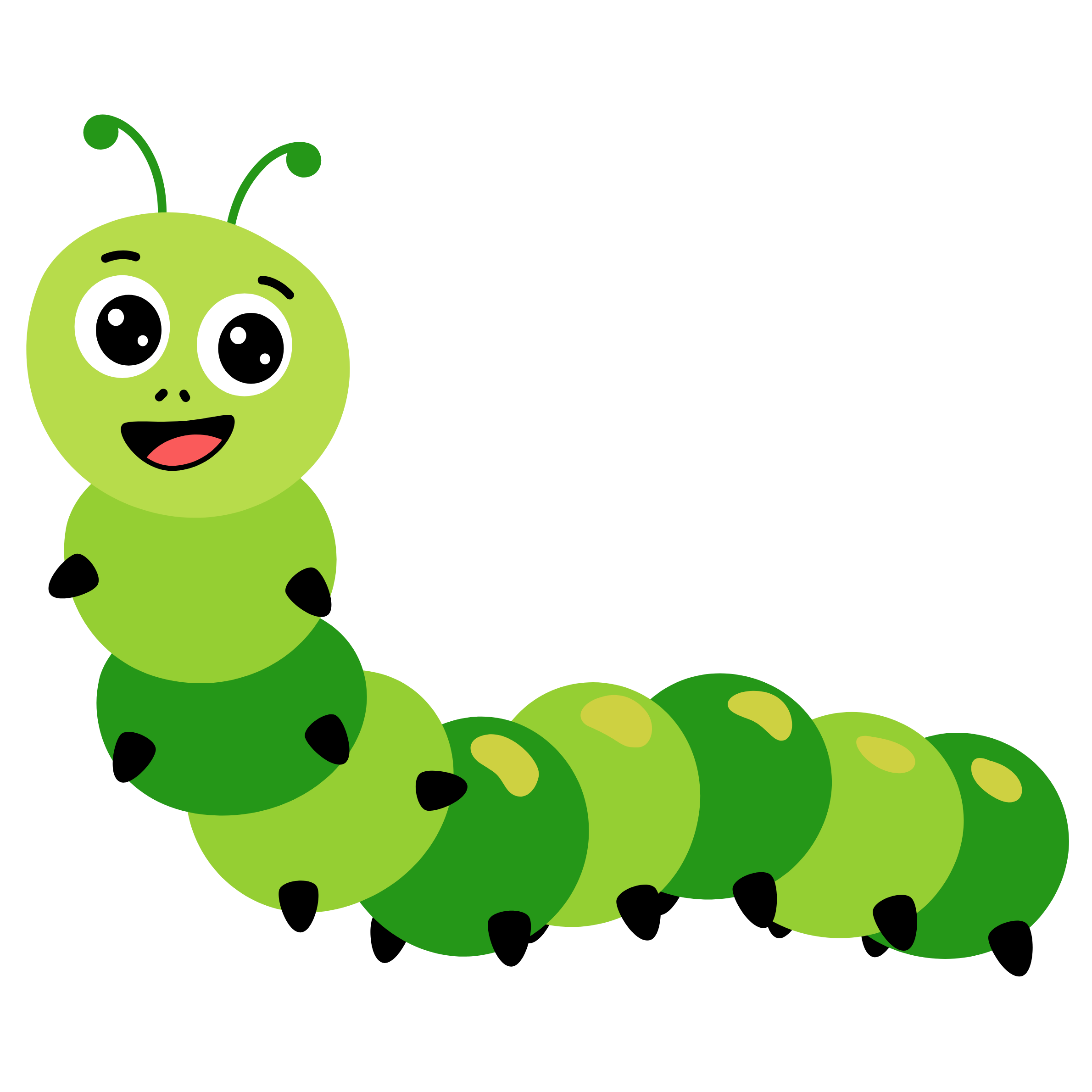 caterpillar
