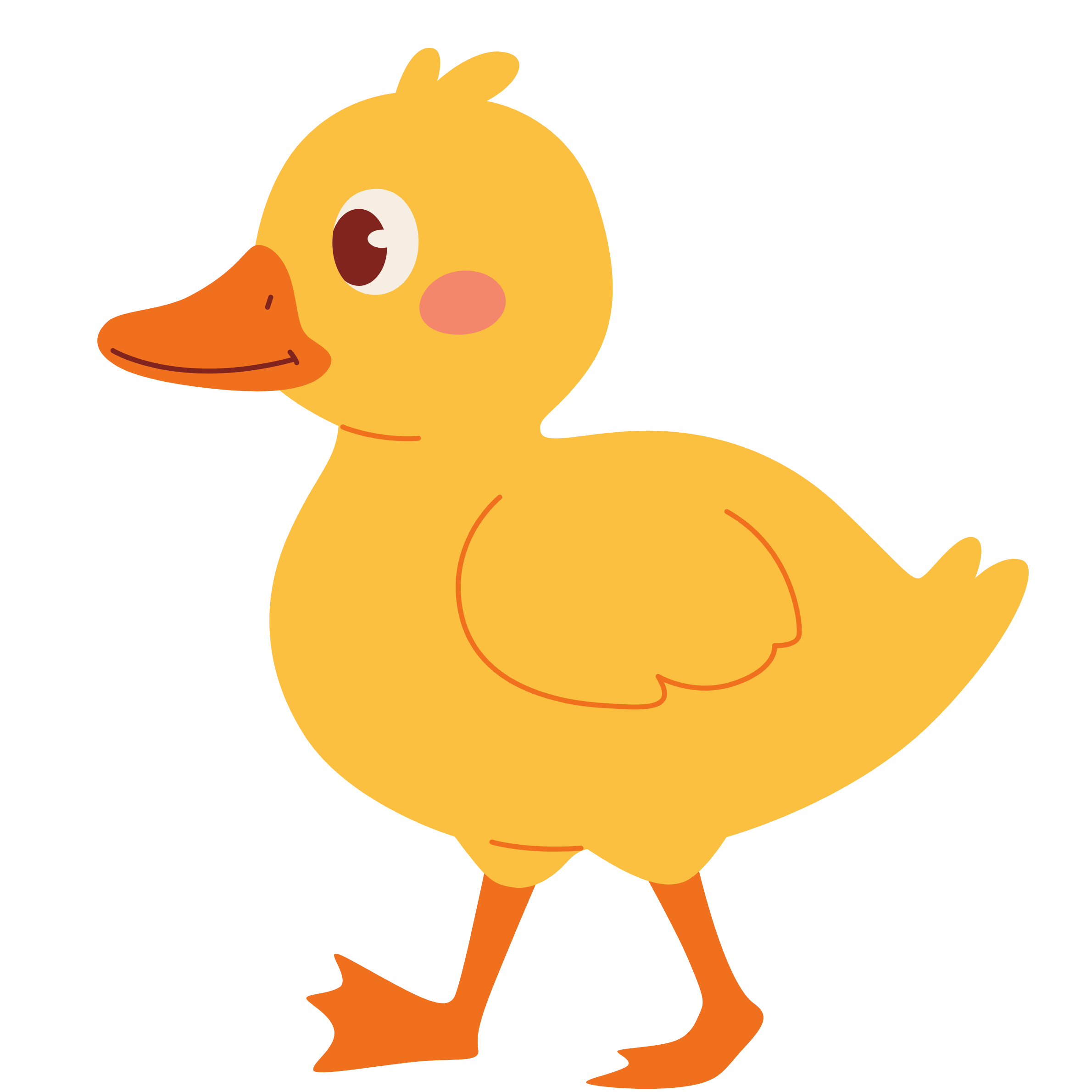 duck