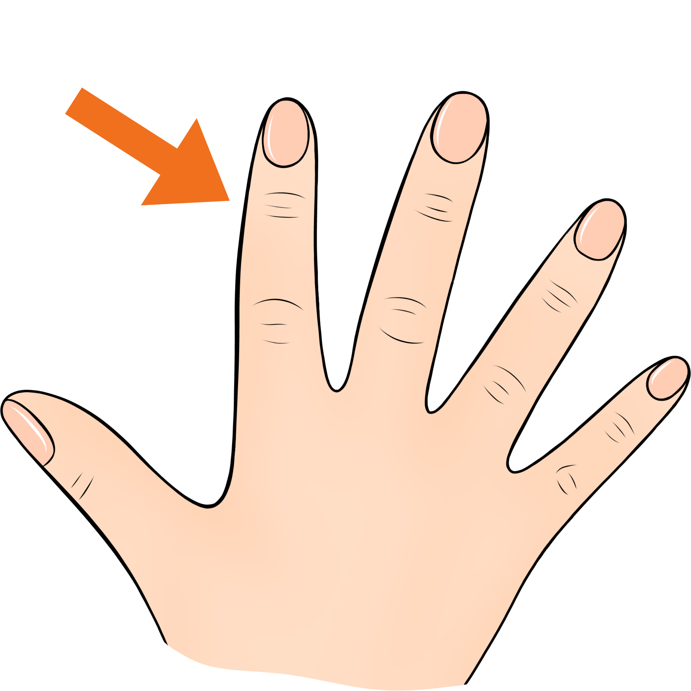 finger