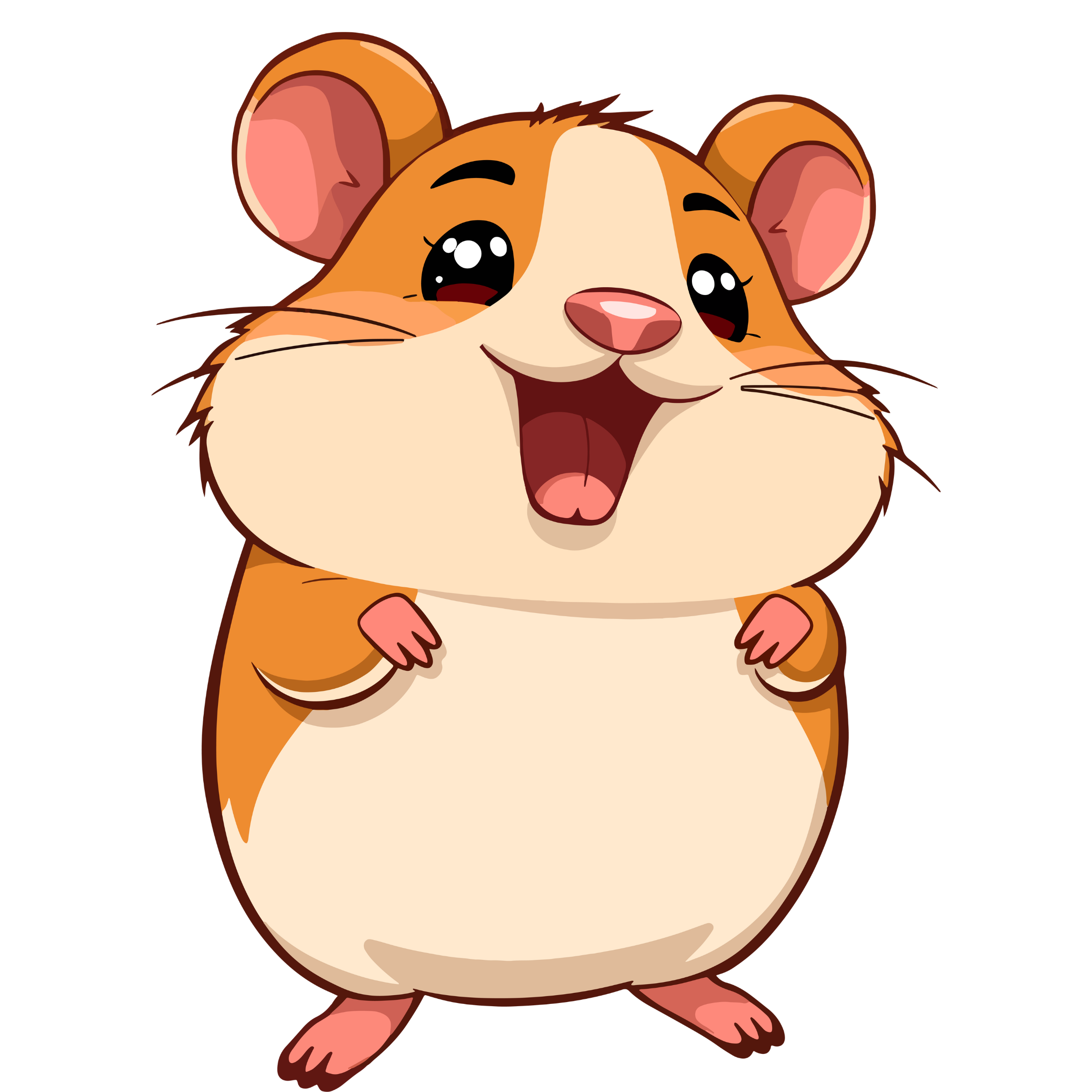 hamster
