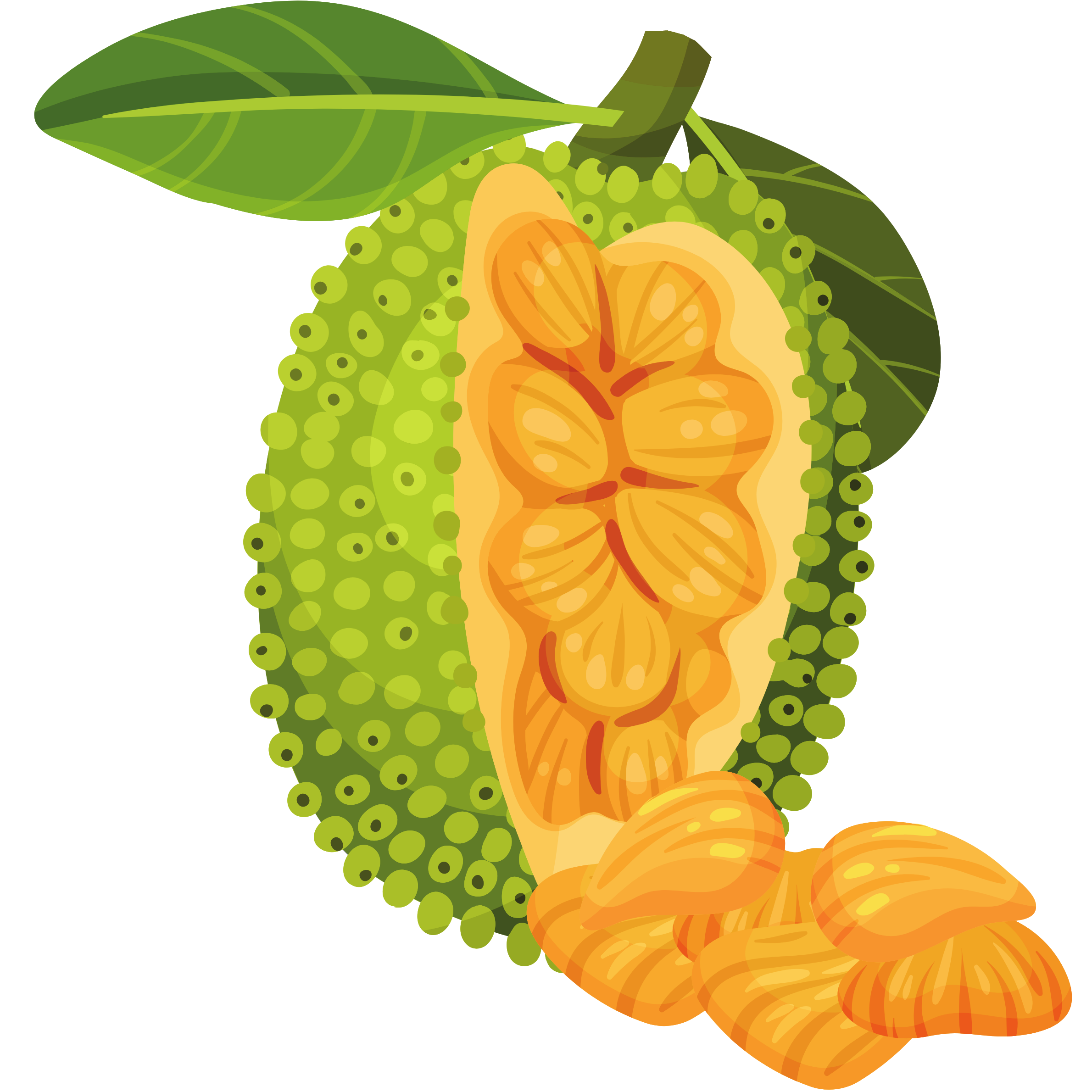 jackfruit