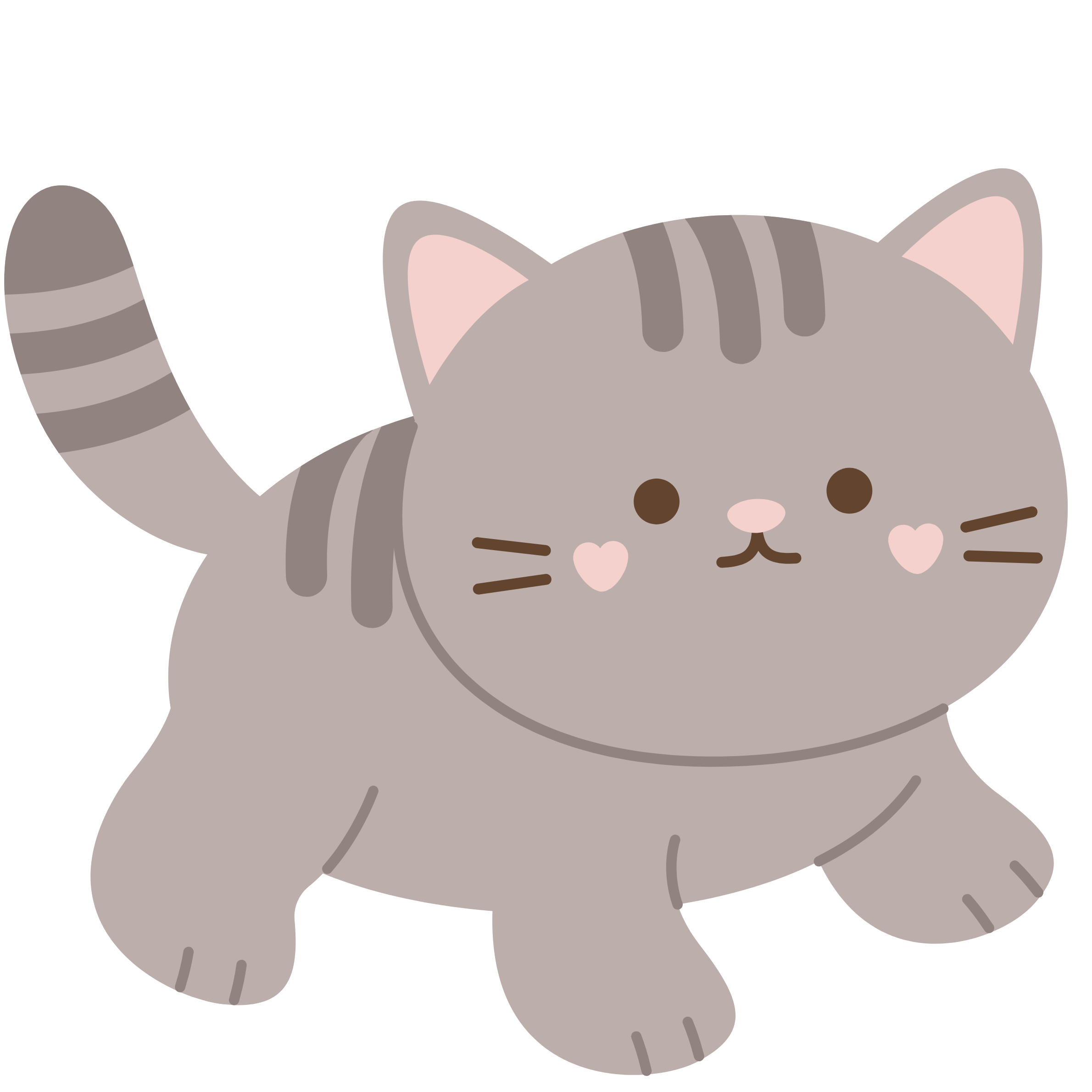 kitten