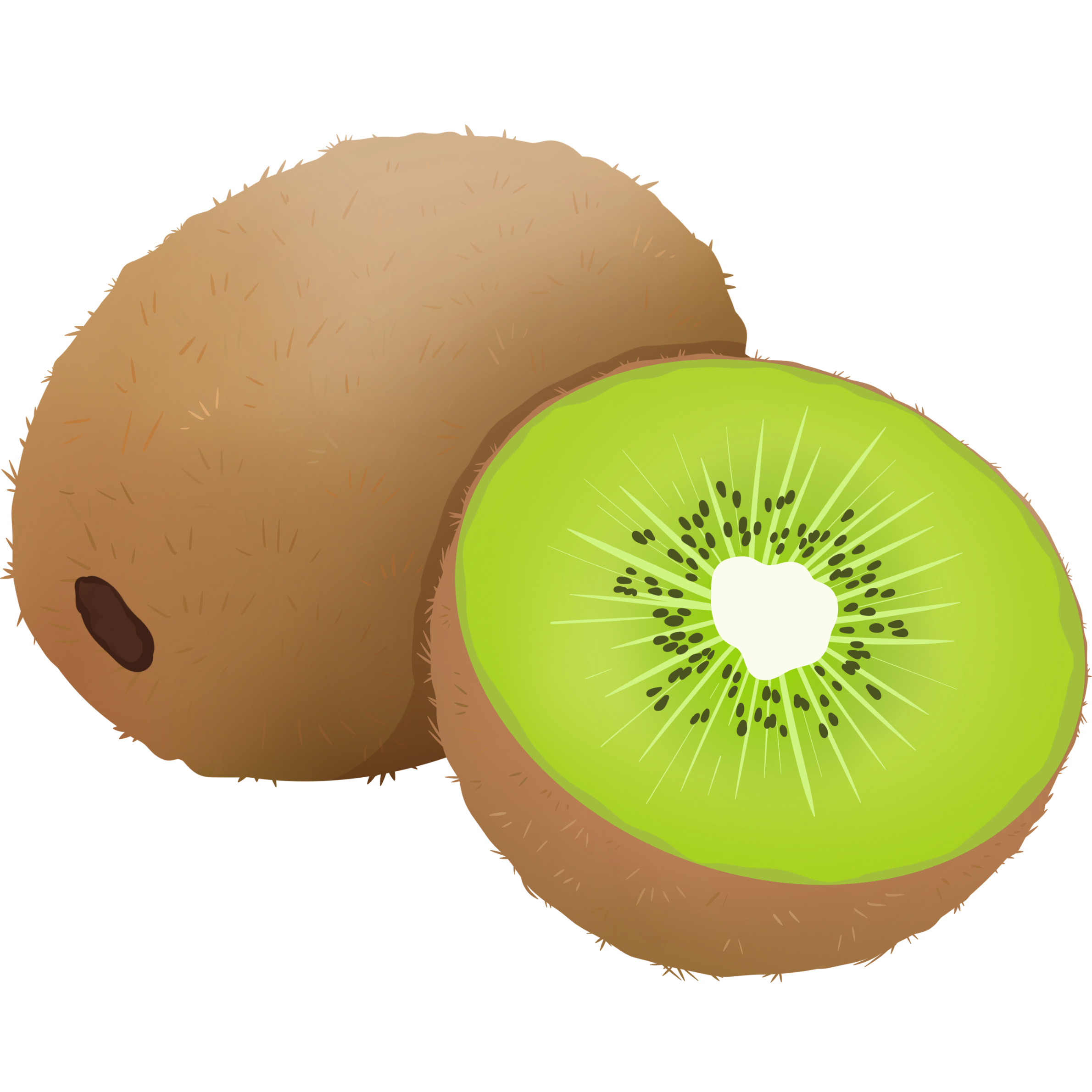 kiwi
