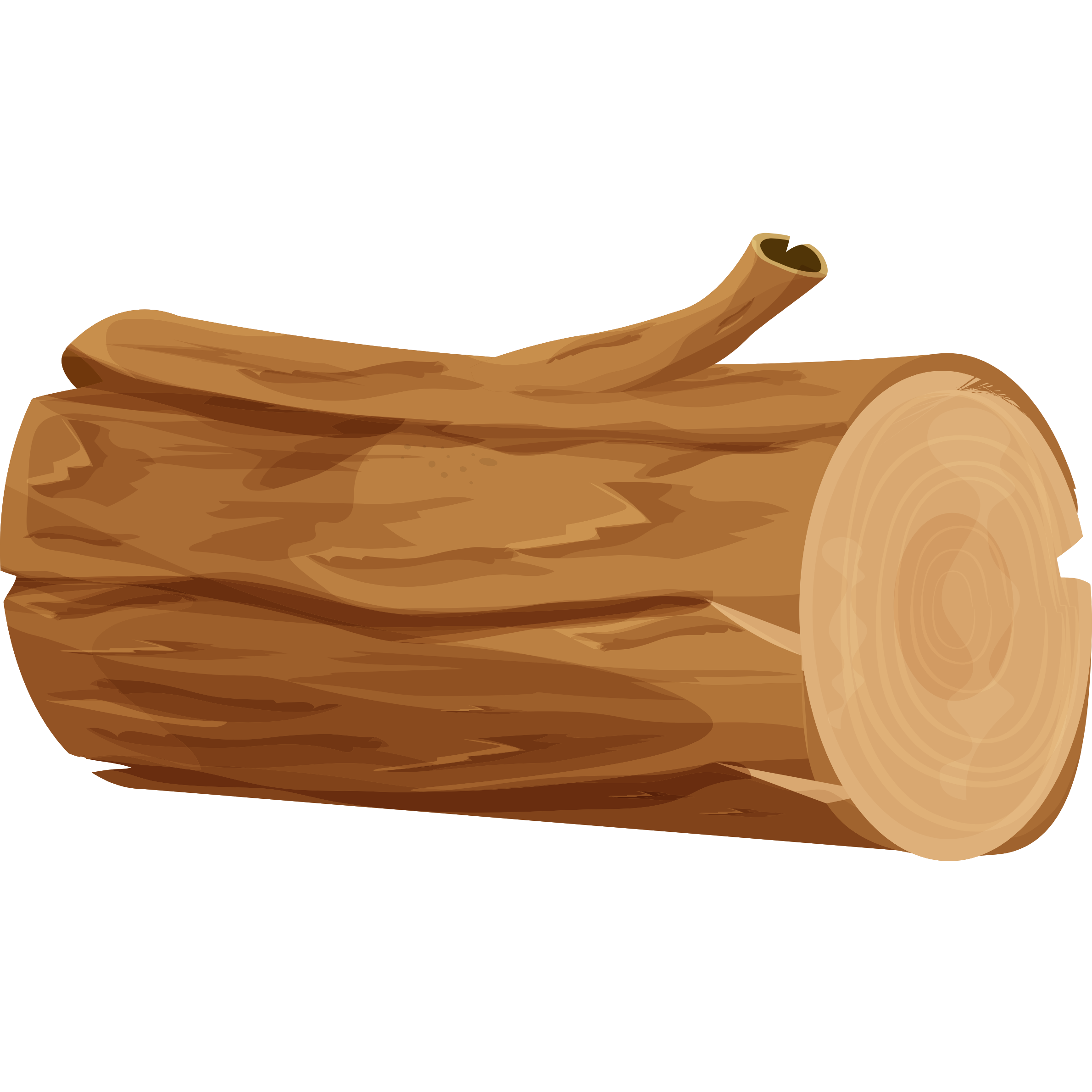 log