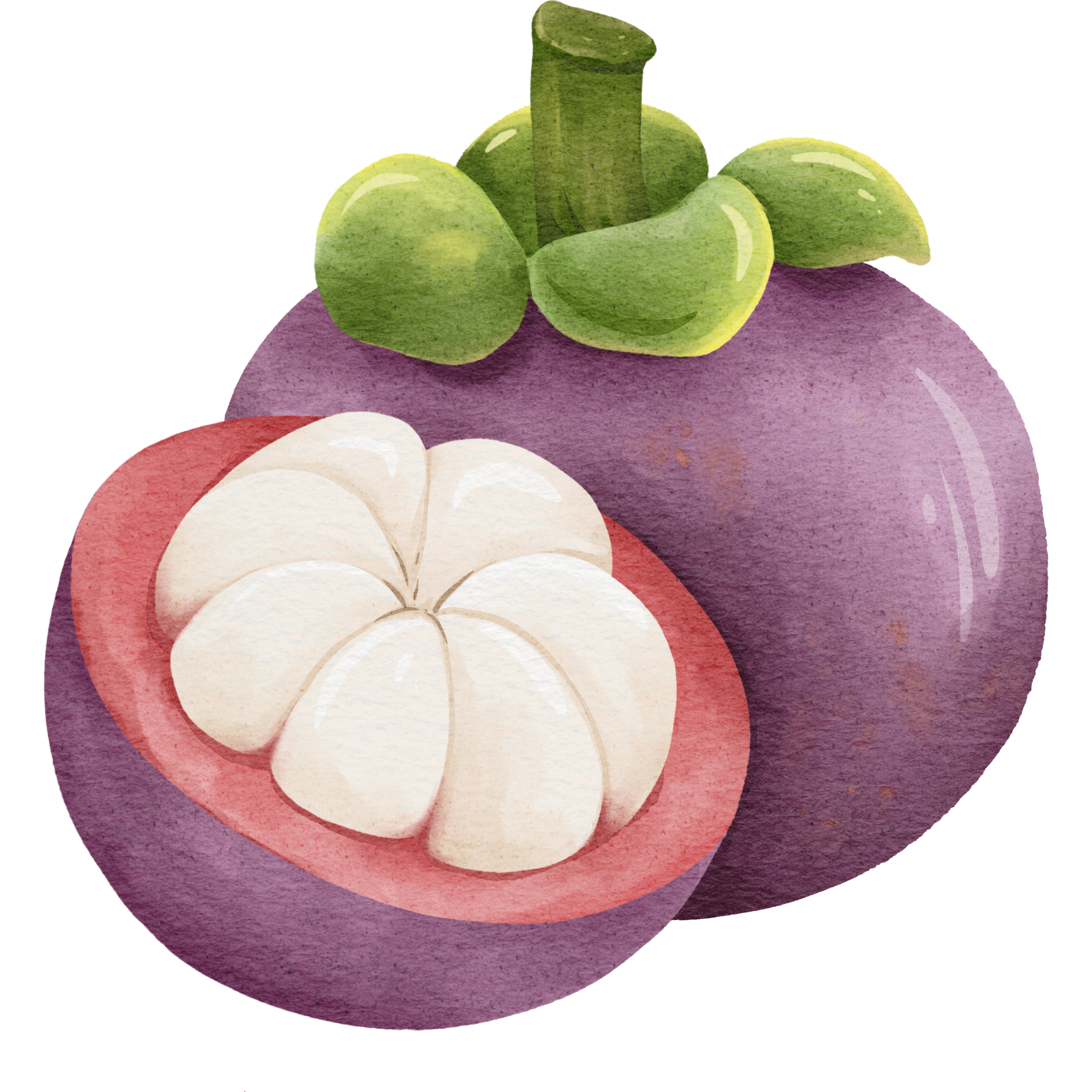 mangosteen