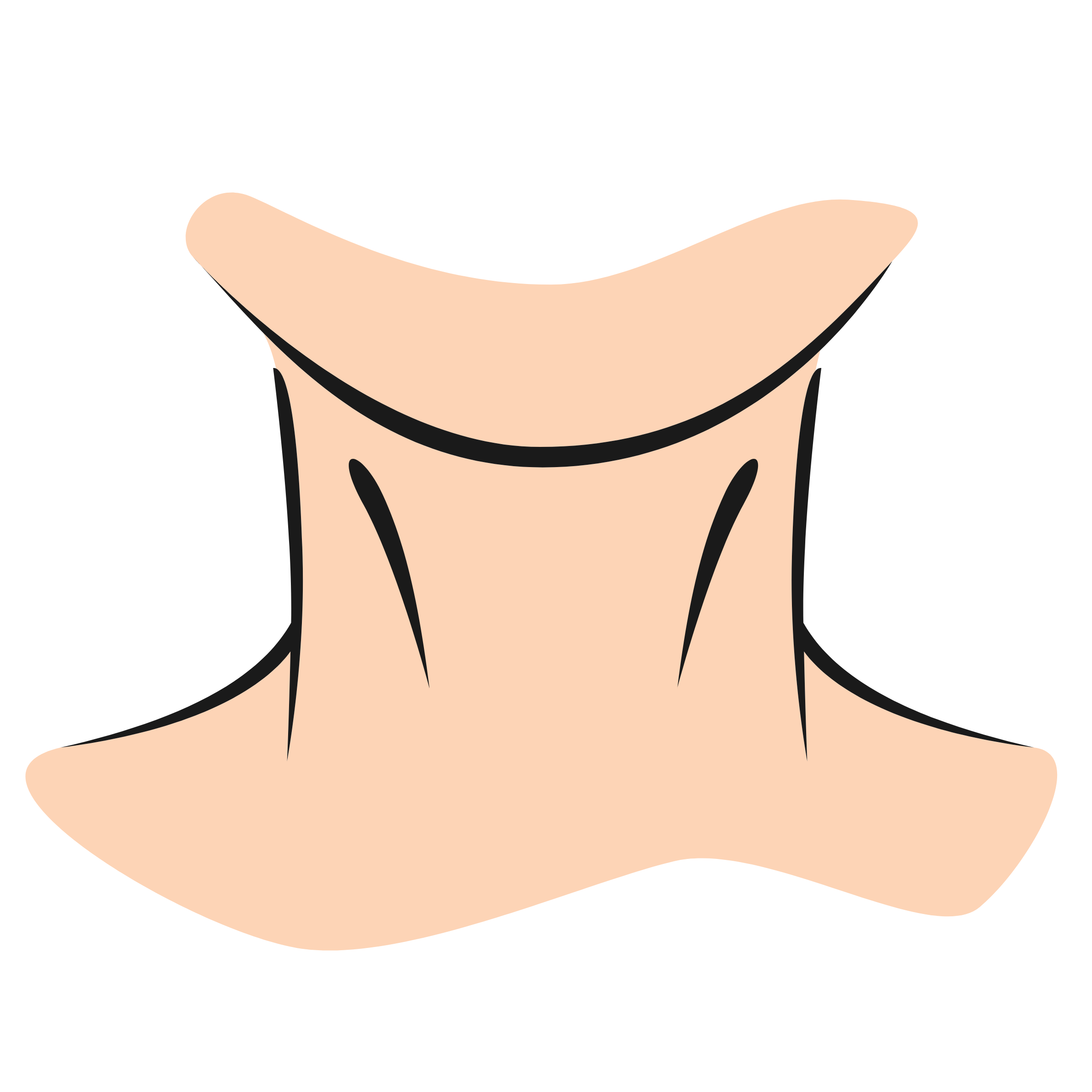 neck