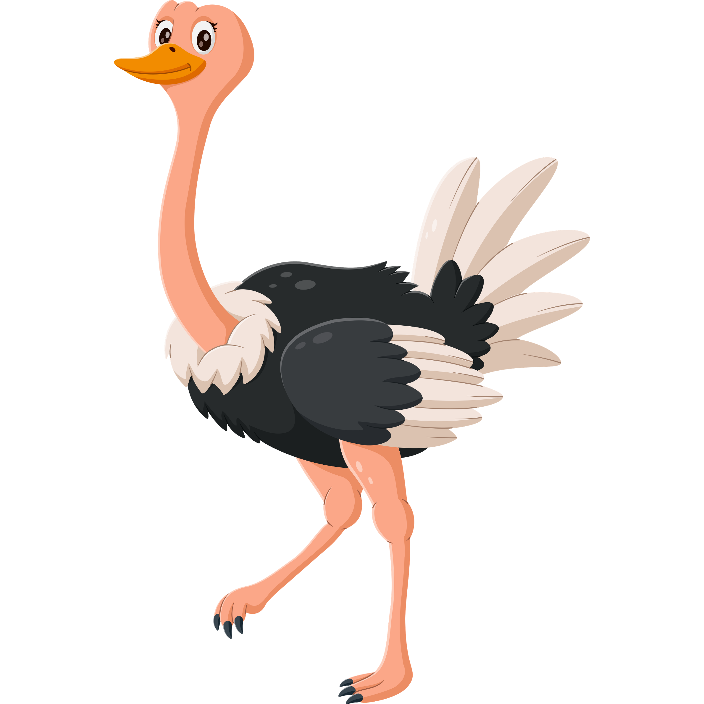 ostrich